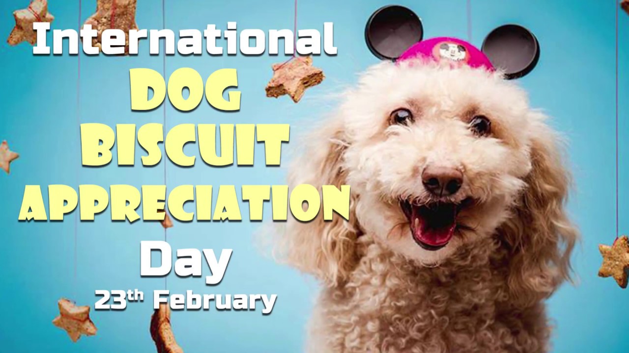 International Dog Biscuit Appreciation Day